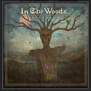 CD In The Woods...- Dīversum