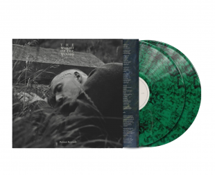 Dermot Kennedy - The Weight of the Woods