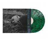 Dermot Kennedy - The Weight of the Woods