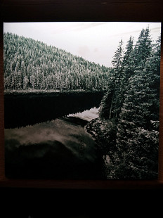 Negură Bunget "Tău" LP black