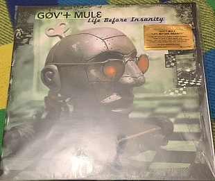 Gov't Mule – Life Before Insanity -00 (13)