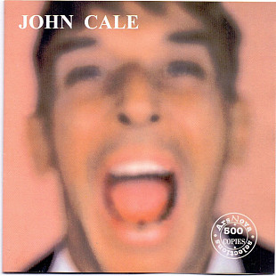 John Cale – Walking On Locusts