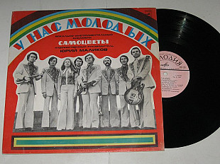 Пластинка Виа ''Самоцветы'' - У НАС, МОЛОДЫХ * У деревни Крюково * Вся жизнь впереди * Багульник