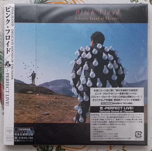 Pink Floyd - Delicate Sound Of Thunder - 2 x CD Japan