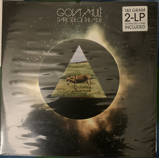 Gov't Mule – Dark Side Of The Mule - 14