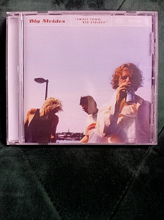 Big Strides - Small Town, Big Strides 2005