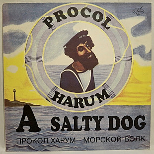 Procol Harum - A Salty Dog - 1969. (LP). 12. Vinyl. Пластинка. Antrop. Rare.