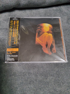 ALICE IN CHAIN'S NOTHING SAFE JAPAN