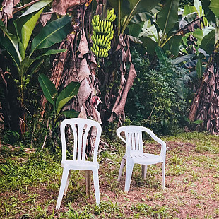 Bad Bunny – Debí Tirar Más Fotos (White, 2LP)