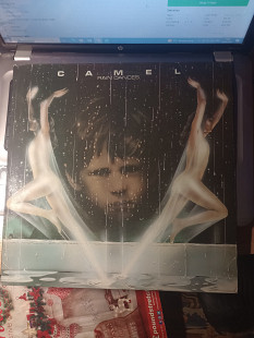 Camel ‎– Rain Dances