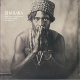 Вінілова платівка Shabaka – Perceive Its Beauty, Acknowledge Its Grace