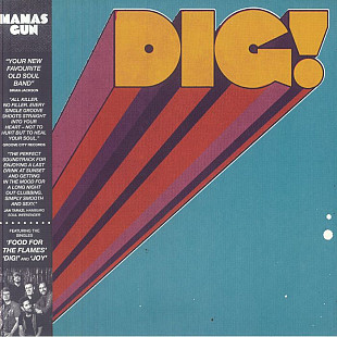Вінілова платівка Mamas Gun – Dig!