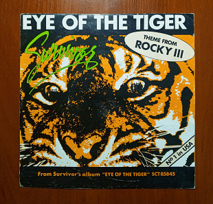 Survivor – Eye Of The Tiger