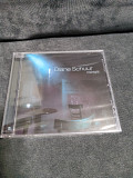 DIANE SCHUR MIDNIGHT