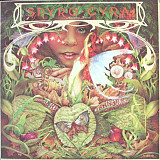 Spyro Gyra – Morning Dance 1979, made in UK