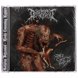 Sectarian Defacement - Hostile Consuming Rapture