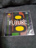 UNITED FUTURE ORGANIZATION
