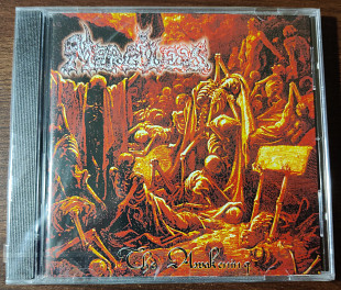 MERCILESS - The Awakening
