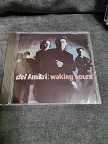 DEL AMITRI WALKING HOURS