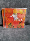 BRIAN WILSON THAT LUCKY SUN
