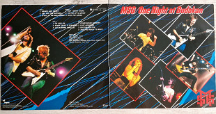 MSG - McALEY SCHENKER GROUP ONE NIGHT AT BUDOKAN 2 LP ( CHRYSALIS 301 927 A2-B2 / 298 A2-B2 / 92