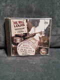 JOE HILL LOUIS BOOGIE IN THE PARK