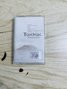 Пикник Трибьют