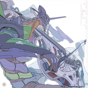 "A Cruel Angel's Thesis" EVANGELION 30th Anniversary Edition Color First Press Limited Edition Yoko