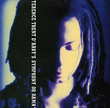 Terence Trent D'Arby - Terence Trent D'Arby's Symphony Or Damn (Exploring The Tension Inside The Swe