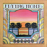 Summer (Flying Home) 1979. (LP). 12. Vinyl. Пластинка. England.