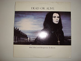 DEAD OR ALIVE-Mad, bad, and dangerus to know 1986 USA Electronic Synth-pop
