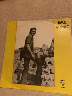 Raul Gomez