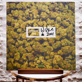 Dr. Dre – 2001 (2LP, 25th Anniversary, Limited Edition, Green Marble Translucent Vinyl)