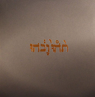 Вінілова платівка Godspeed You Black Emperor! – Slow Riot For New Zero Kanada E.P.