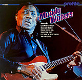 Вінілова платівка Muddy Waters – Profile