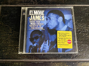 Elmore James - Shake your money maker