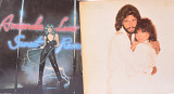 L-36 - Barbara Steisand- Amanda Lear - Vinyl LP 12" винил 2 шт