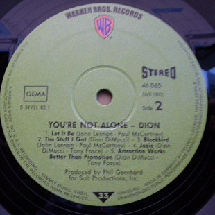 Dion – You're Not Alone
