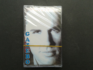 Gazebo - Viewpoint
