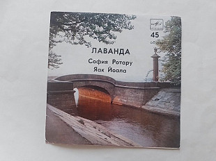 София Ротару Лаванда