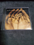 MICHAEL FRANKS DRAGONFLY SUMMER