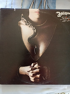 Whitesnake slide it in
