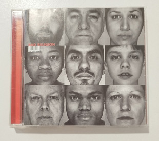 CD BAD RELIGION 1996 The Gray Race (Austria)
