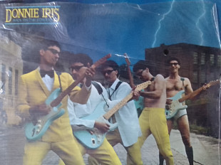 Donnie IRIS - BACK ON THE STREETS 1980 MCA Records