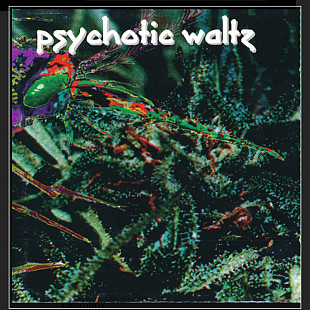 CD Psychotic Waltz - Mosquito