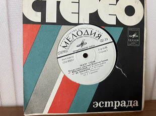 Поет Владимир Трошин