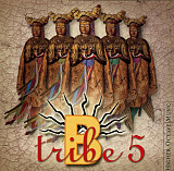 B-Tribe – 5
