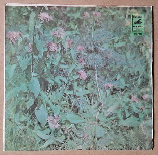 Яак Йоала и Ансамбль «Радар» 1980 г.(миньон)