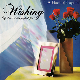 A Flock Of Seagulls - Wishing (If I Had A Photograph Of You) (1982)