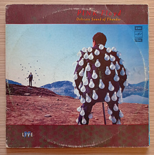 Pink Floyd ‎– Delicate Sound Of Thunder 2LP